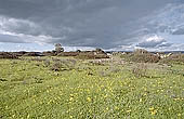 Vendicari nature reserve